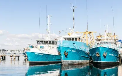 three boats in the harbour